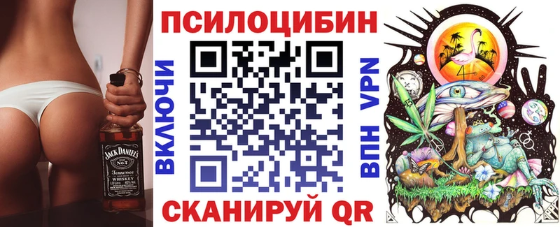 где купить Олонец Псилоцибиновые грибы Magic Shrooms